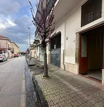 Foto annuncio 6