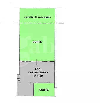 Foto annuncio 19