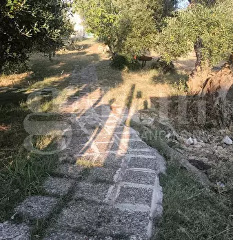 Foto annuncio 9