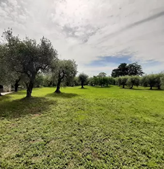 Foto annuncio 18