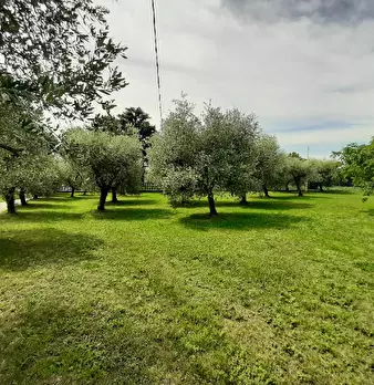 Foto annuncio 9