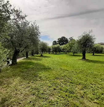 Foto annuncio 12