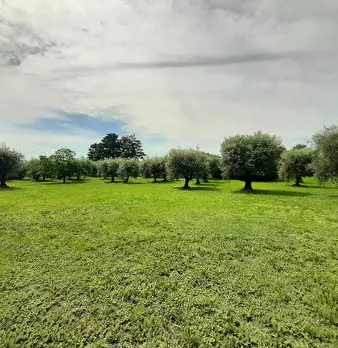 Foto annuncio 19
