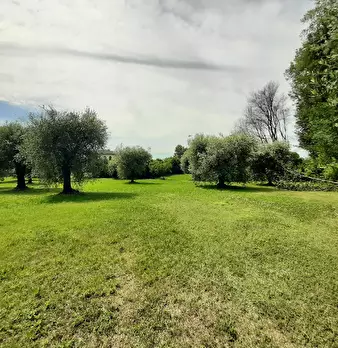Foto annuncio 20