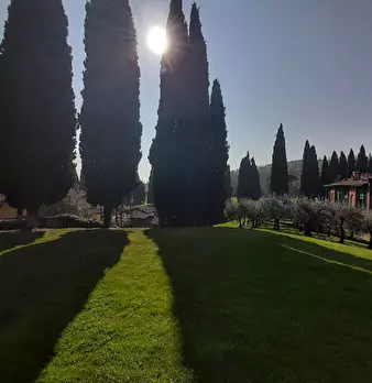 Foto annuncio 10