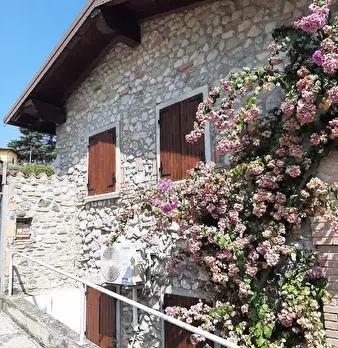 Foto annuncio 1