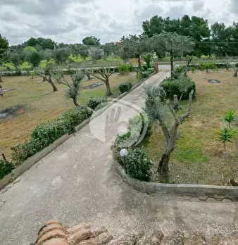 Foto annuncio 46