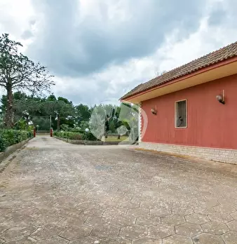 Foto annuncio 49