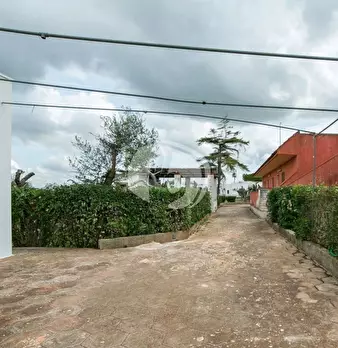 Foto annuncio 45