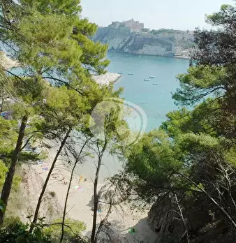 Foto annuncio 24
