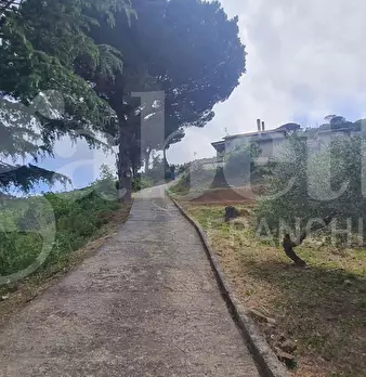 Foto annuncio 4