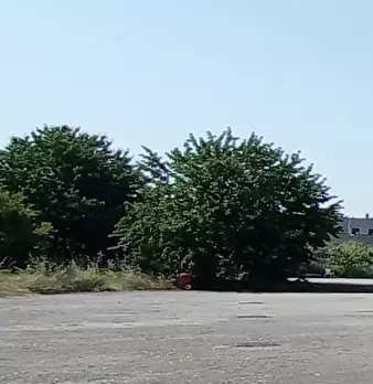 Foto annuncio 10