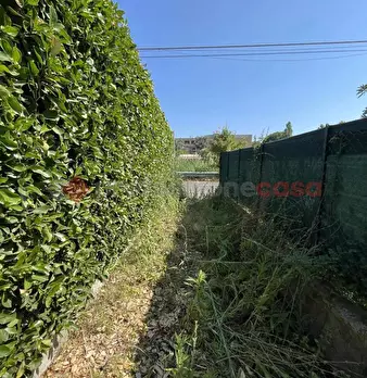 Foto annuncio 30