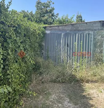 Foto annuncio 31