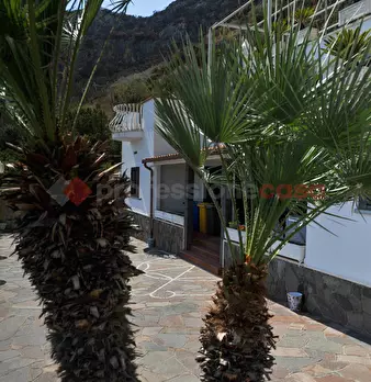 Foto annuncio 21
