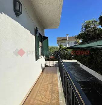 Foto annuncio 21