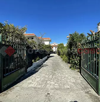 Foto annuncio 29