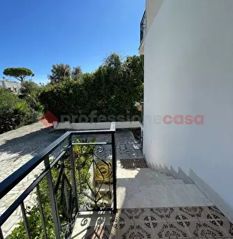 Foto annuncio 23