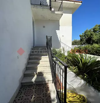 Foto annuncio 24