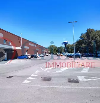Foto annuncio 13