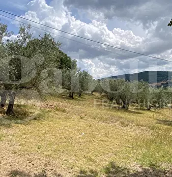 Foto annuncio 45