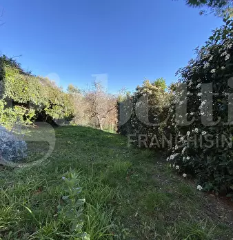 Foto annuncio 40