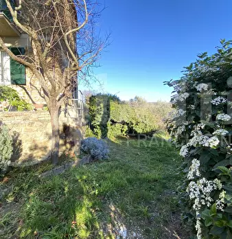 Foto annuncio 39
