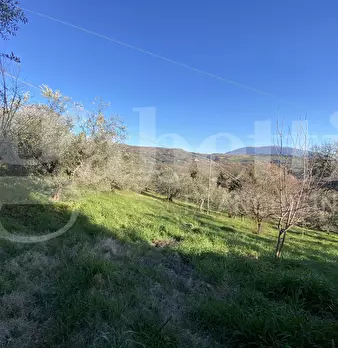 Foto annuncio 37