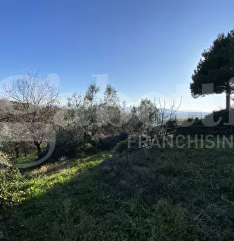 Foto annuncio 38