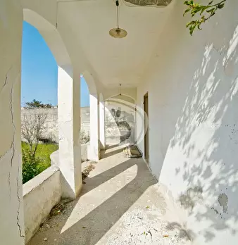 Foto annuncio 30