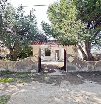 Foto annuncio 49