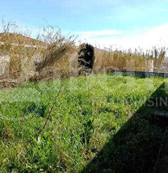 Foto annuncio 22