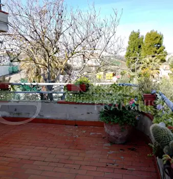 Foto annuncio 7
