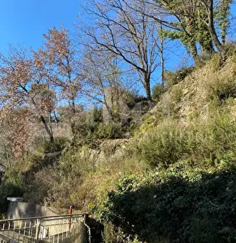 Foto annuncio 17