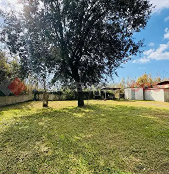 Foto annuncio 27
