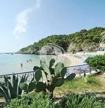 Foto annuncio 25