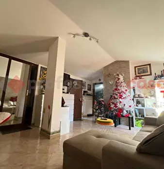 Foto annuncio 21
