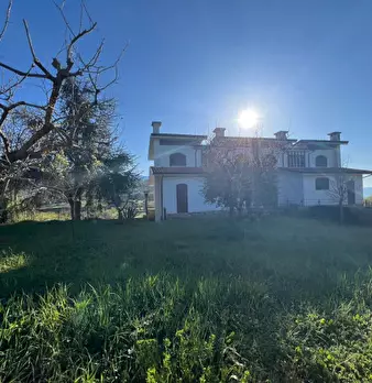 Foto annuncio 32