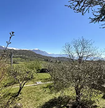Foto annuncio 35