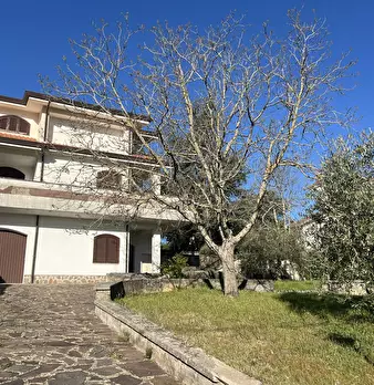 Foto annuncio 31