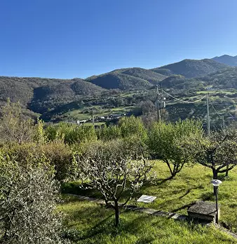 Foto annuncio 29
