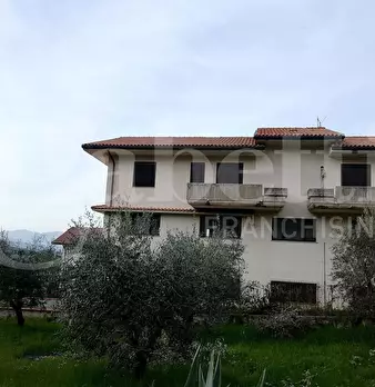 Foto annuncio 24