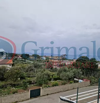 Foto annuncio 26