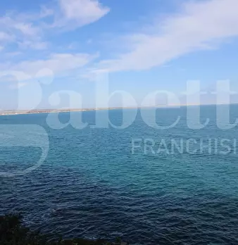 Foto annuncio 28
