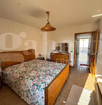 Foto annuncio 42