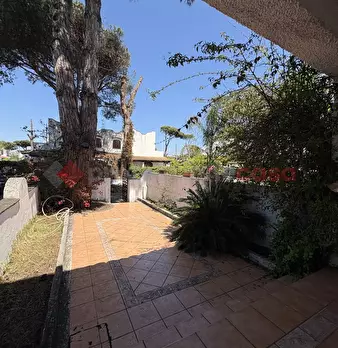 Foto annuncio 7