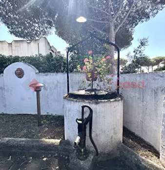 Foto annuncio 27