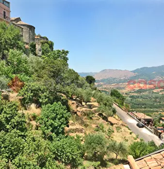Foto annuncio 43