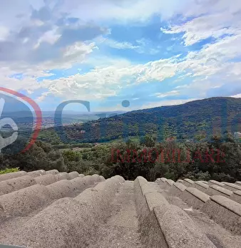 Foto annuncio 30
