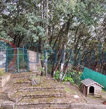 Foto annuncio 46